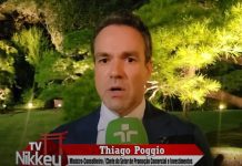 Brasil começa a exportar abacate para o Japão