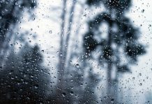 Meteorologia prevê uma terça-feira chuvosa em todo Mato Grosso do Sul