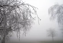 Frente fria mantém temperaturas amenas e céu nublado em Mato Grosso do Sul nesta quinta-feira
