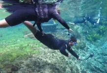 Turismo de MS participa da FITPAR 2025 para fortalecer presença no mercado paraguaio