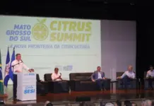 Com apoio do Estado e ambiente positivo, citricultura de MS avança como nova fronteira agrícola brasileira