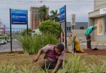 Propam promove plantio de 75 mudas e dá início a novos pomares urbanos