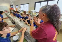 Abertas inscrições para professores temporários de Educação Profissional da REE/MS