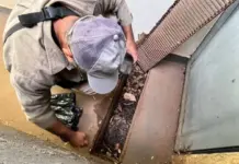 Boletim Epidemiológico: MS registra 8.384 casos confirmados de dengue