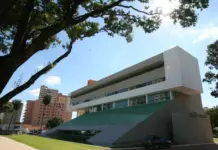 Prefeitura planeja espaços arborizados com espécies nativas em Campo Grande