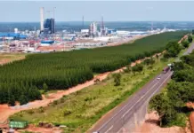 Seletiva para motoristas de ônibus urbano vai ocorrer na próxima quarta-feira