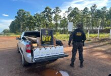 DOF apreende 250 litros de agrotóxicos em Ponta Porã