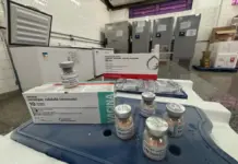 MS intensificou vacinação em 2025 e manteve vigilância ativa contra o sarampo