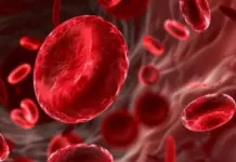 MPMS investiga atendimento a pessoas com hemofilia em Campo Grande