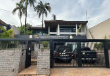 Polícia Civil prende mulher em flagrante por maus tratos de animais e furto de energia elétrica na Capital