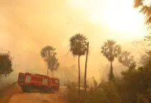 El Niño eleva risco de fogo no Pantanal e MS assegura resposta estratégica