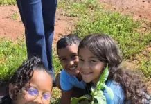 Prefeitura amplia áreas verdes com novo pomar em escola municipal