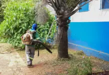 Prefeitura de Campo Grande prepara escolas para receber alunos em 2026