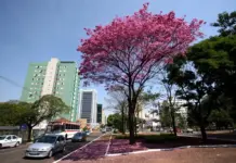 COP15 projeta Campo Grande como hub de turismo e sustentabilidade