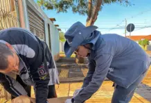 Sesau orienta vacinação após casos de raiva em morcegos no município