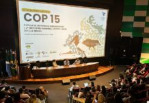 Campo Grande destaca infraestrutura verde em agendas da COP15