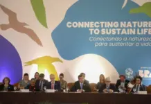 Com atuação para o desenvolvimento e conservação, MS sedia encontro de líderes globais que antecede COP15