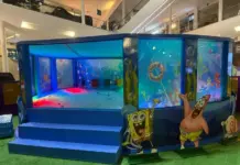 Parque temático com Dora Aventureira, Bob Esponja e Patrulha Canina anima fim de semana