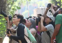 Durante COP15, visitantes poderão observar aves migratórias na Capital