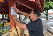 Prefeita lança aplicativo +CG e wi-fi gratuito em 187 pontos da cidade