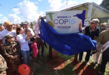 Adriane Lopes lidera plantio do Bosque da COP15 e reforça legado ambiental em Campo Grande