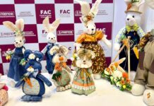 Com artesanato, Cláudia encontra renda e autonomia em Campo Grande