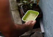 Estado articula para trazer vacina da chikungunya para MS e garante inclusão em estratégia piloto nacional