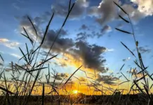Sol, calor e risco de tempestades marcam a quarta-feira em MS