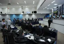 Vereadores votam projetos sobre segurança, saúde e causa animal na terça-feira