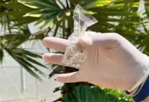 Boletim Epidemiológico: MS registra 1.764 casos confirmados de chikungunya