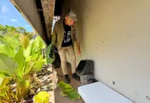 Boletim Epidemiológico: MS registra 2.102 casos confirmados de chikungunya