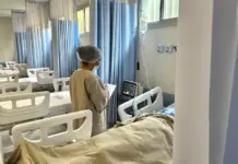 SES cria fluxo emergencial para casos graves de chikungunya