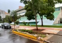 Jardim de chuva marca novo modelo de drenagem sustentável
