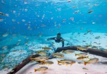 Turismo de MS reforça protagonismo e é destaque nacional em três diferentes prêmios em março