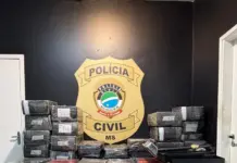 Polícia Civil apreende 1.600 kg de maconha e recupera veículo furtado em Mundo Novo