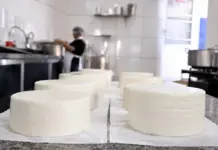 Produção é intensificada para 9ª Festa do Queijo em Rochedinho