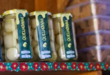 Festa do Queijo une gastronomia, moda e tradição rural em Rochedinho