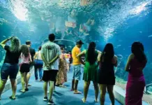 Bioparque Pantanal se prepara para sediar evento nacional de zoológicos e aquários