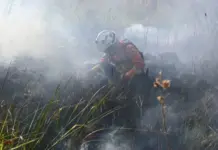 Decreto de emergência reforça preparação do Estado para enfrentar incêndios florestais