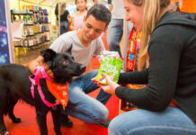 Campo Grande incentiva pesquisa sobre turismo de animais de estimação