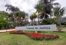 TJMS vai promover seminário sobre a Justiça e suas interseccionalidades
