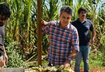 Landmark celebra aprovação do PAA Municipal e destaca fortalecimento da agricultura familiar