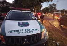 Descarte irregular de resíduos pode virar crime ambiental