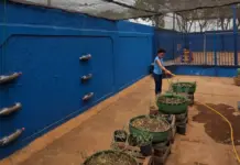 Escola da Reme vence prêmio nacional de educação ambiental