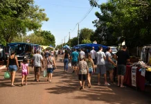 Feiras livres movimentam bairros e geram renda para a Capital