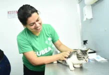 Consultório Móvel leva atendimento para cães e gatos da região do Jardim Aeroporto