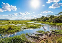 Fim de semana terá calor de até 41°C e umidade pode cair a 10% em MS