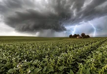 Segunda-feira começa com sol, mas MS pode ter tempestades e granizo ao longo do dia