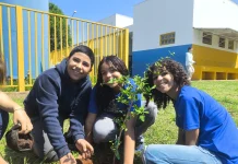 Plantio de árvores aproxima estudantes da natureza em Campo Grande