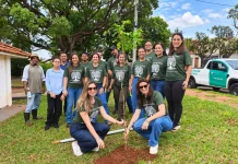 Plantio no Parque Municipal Água Limpa abre caminho para novo ponto de observação de aves